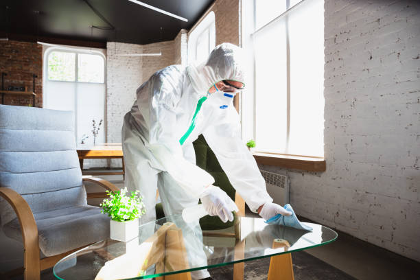 Best Mold Remediation for Healthcare Facilities  in Mechanicsburg, OH